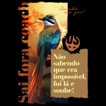 Camiseta Desmotivacional Pássaro - Imagem 4